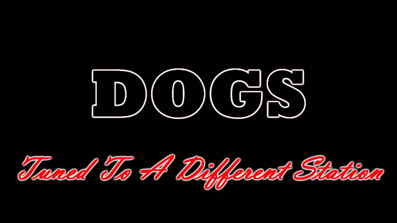 Dogs - Tuned to a different station (Plus MP3 download)