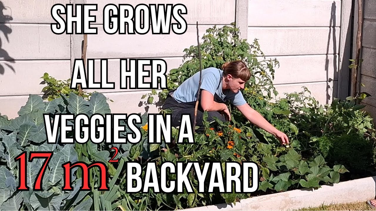 Tiny Backyard Producing Amazing Abundance!