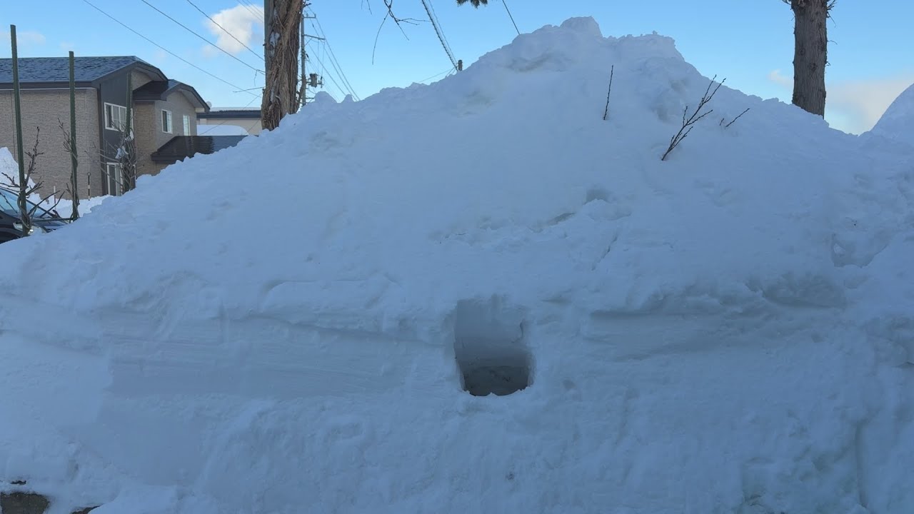 大雪警報の中、うさぎを４日間留守番させた結果・・・　(No.2105)