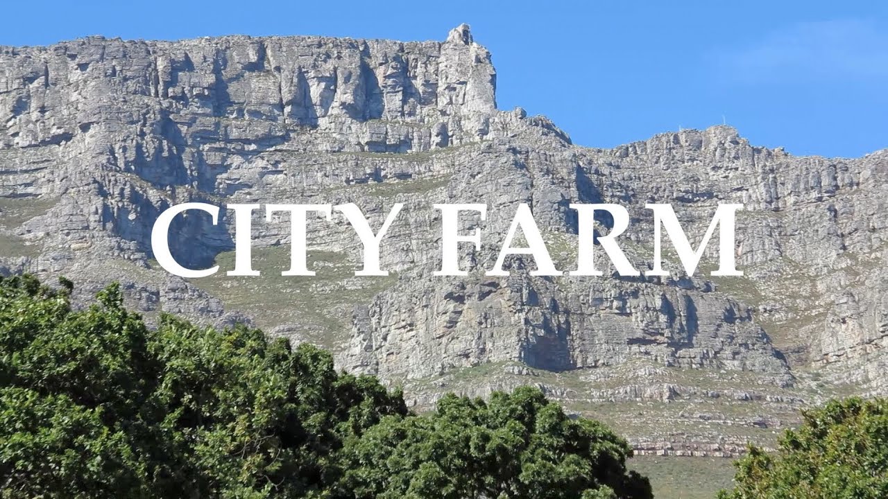 Oranjezicht City Farm | Market Research