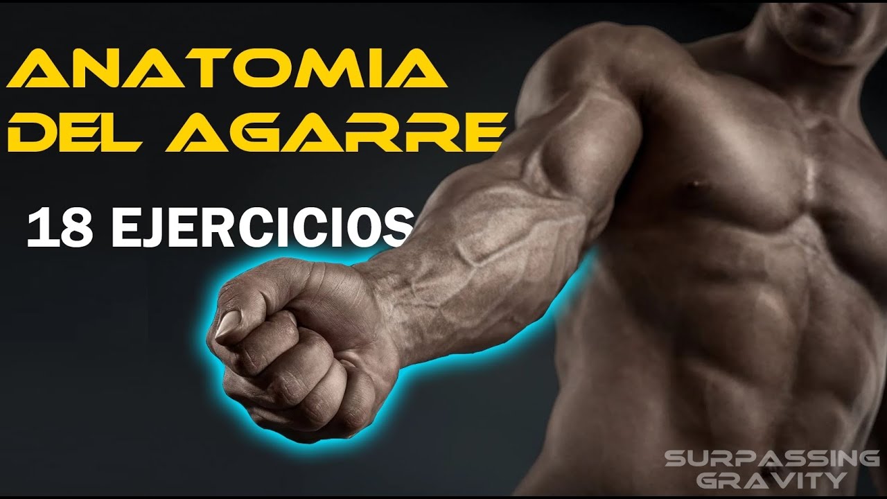 Anatom&iacute;a del agarre - 18 Ejercicios