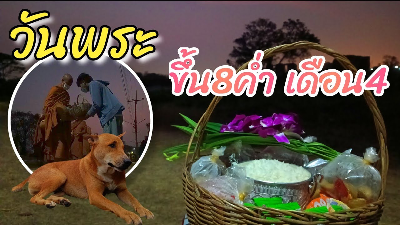 🔴🐼LIVE  วันพระ ขึ้น8ค่ำ เดือน4 24ก.พ  #วัดมเหยงคณ์  #อยุธยา #Nopนพพลสตอรี่
