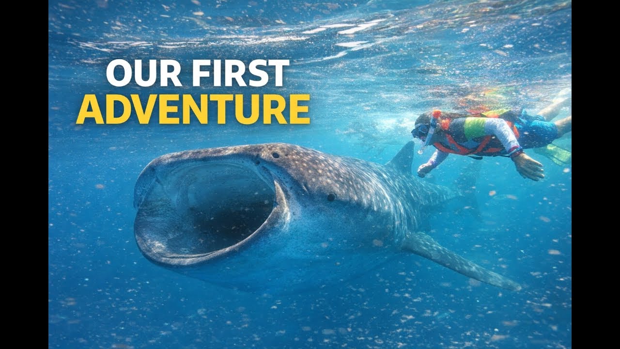 Swimming With Whale Sharks | Our First YouTube Adventure