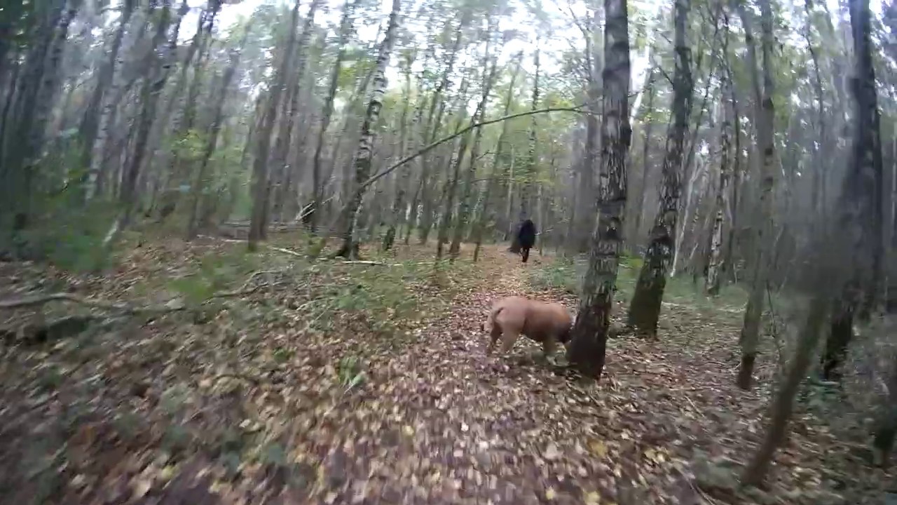 MTB Route Almere-Kotterbos