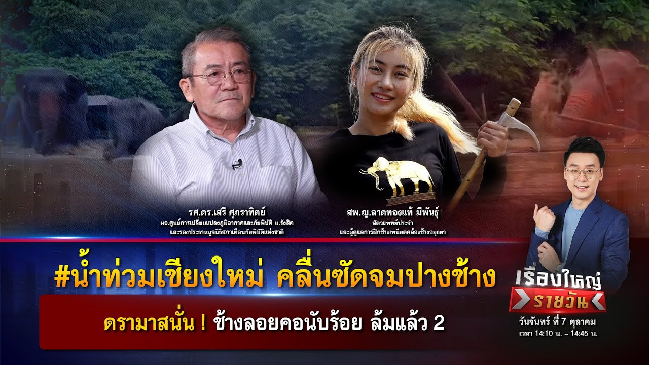 #น้ำท่วมเชียงใหม่ ดรามาสนั่น ! ภารกิจช่วยช้างจมน้ำ ล้มแล้ว 2 | เรื่องใหญ่รายวัน | 7 ต.ค. 67 | one31