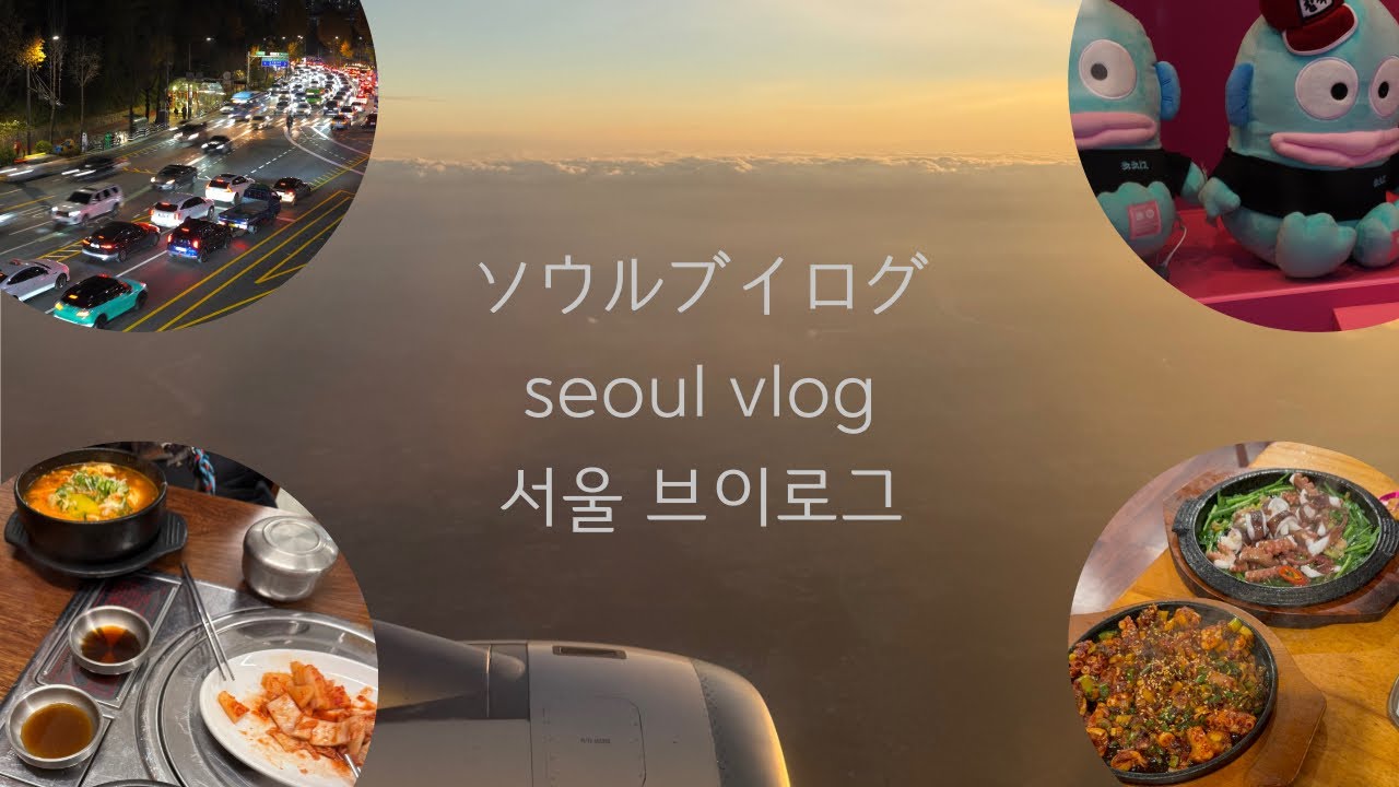 【夫婦旅】2025.11 韓国ソウルの旅