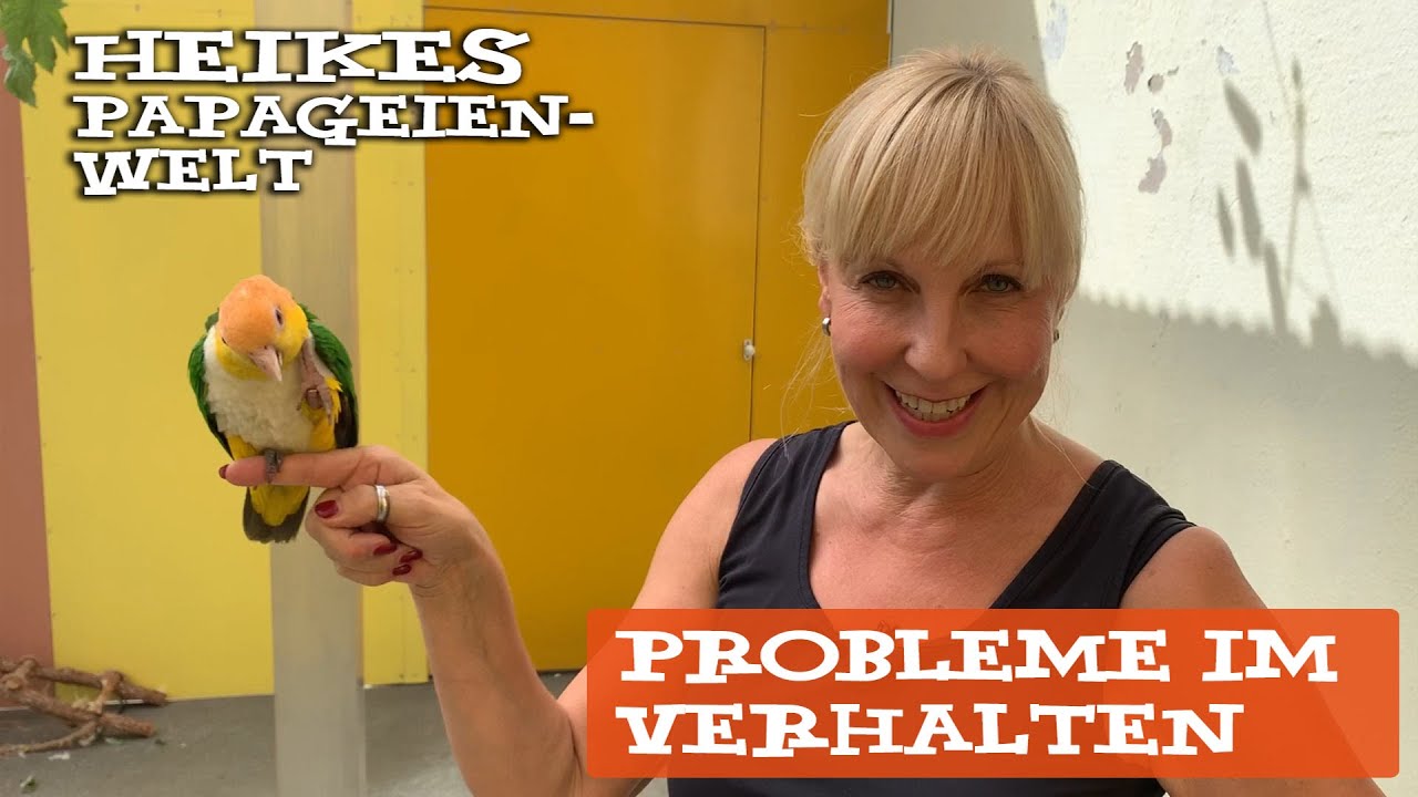 Heike Mundt über problematisches Verhalten bei Papageien