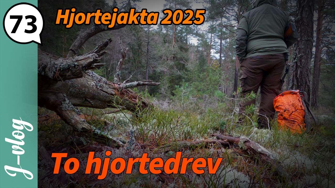 To drev etter hjort | Jaktvlog 73