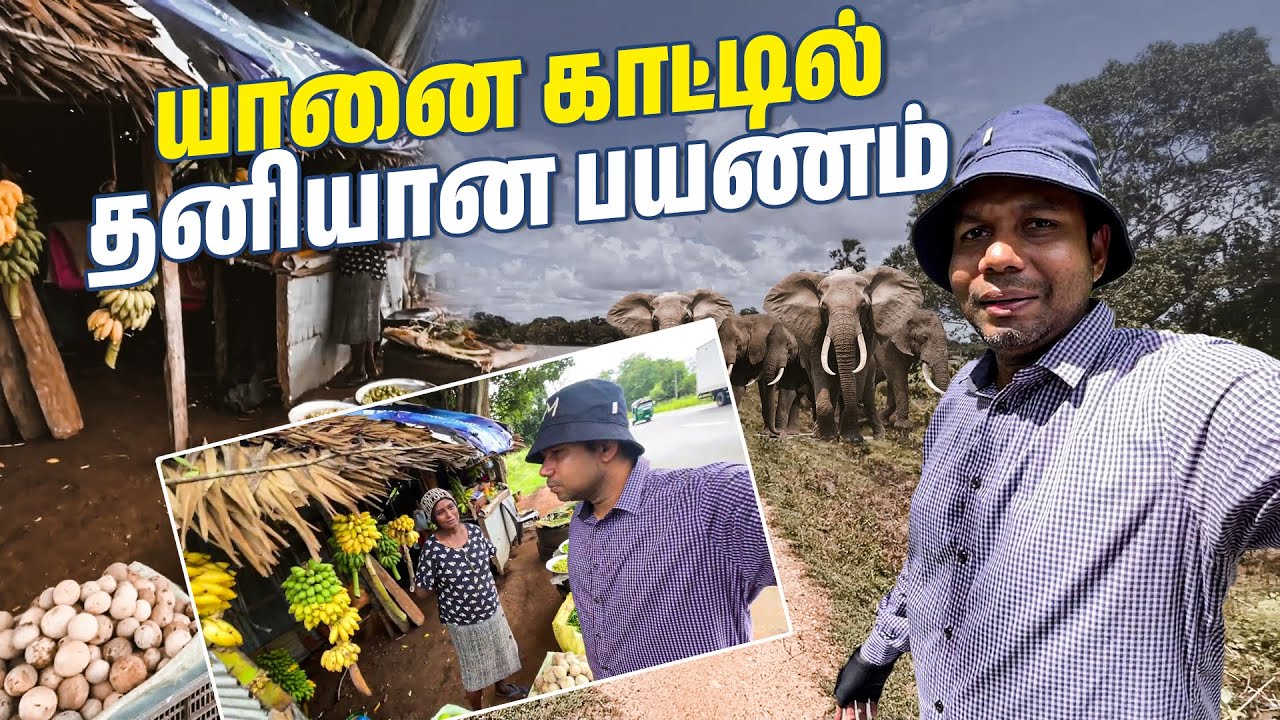 காட்டுப் பகுதியில் Thrilling Cycle பயணம் 😱 | Mullaitivu to Vavuniya | Rj Chandru Vlogs