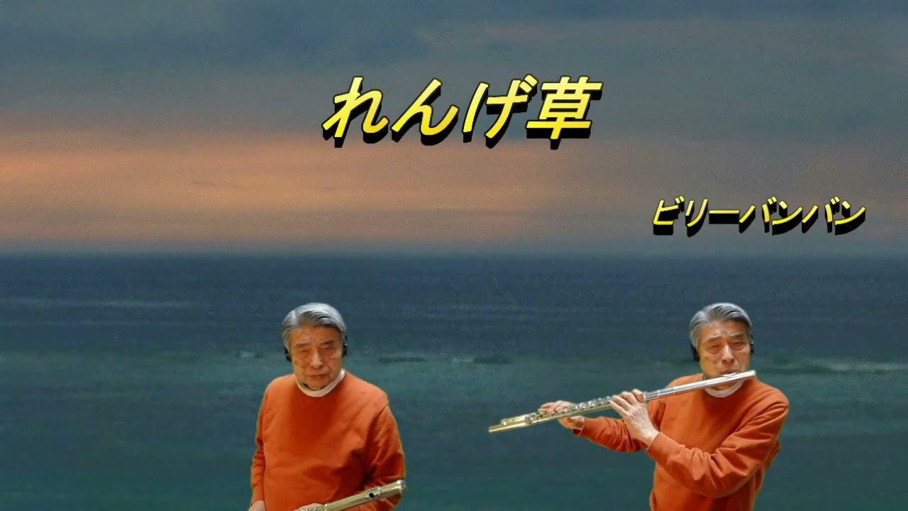 れんげ草　ビリーバンバン