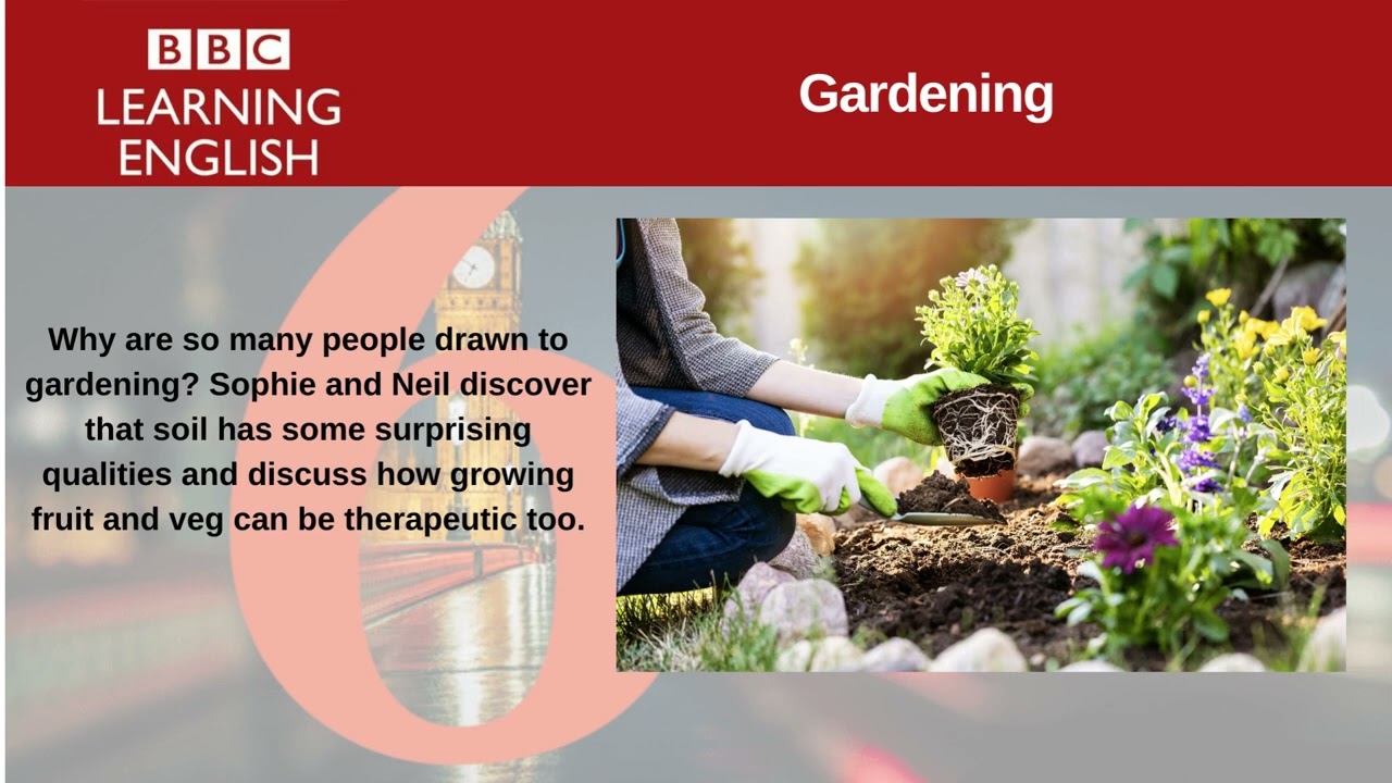 Gardening. | 6 Minute English.