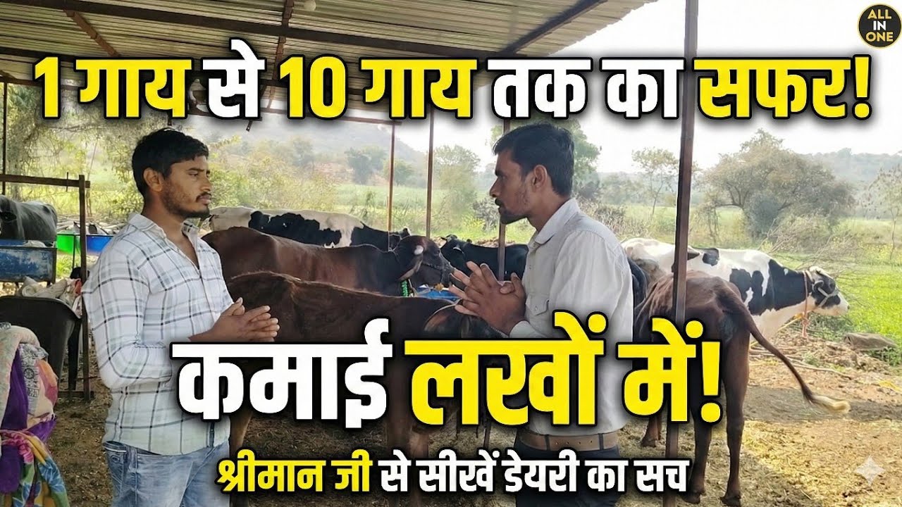 👉 1 गाय से 10 गाय कैसे हुई? | डेयरी फार्म से कितनी कमाई होती है पार्ट - 1