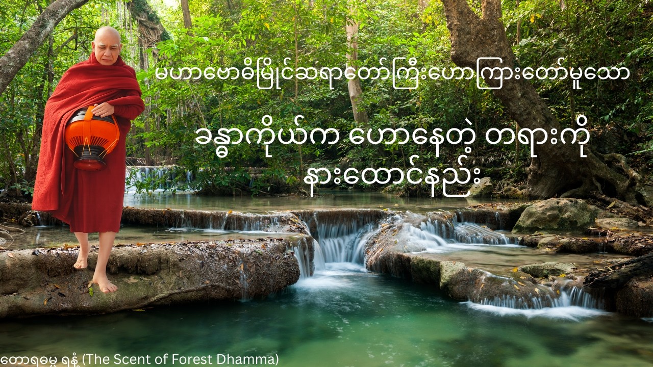 တရားရှာနေတာ ကြာပြီလား?