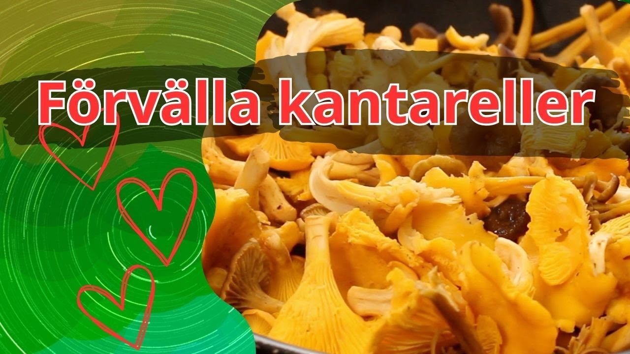 F&ouml;rv&auml;lla kantareller