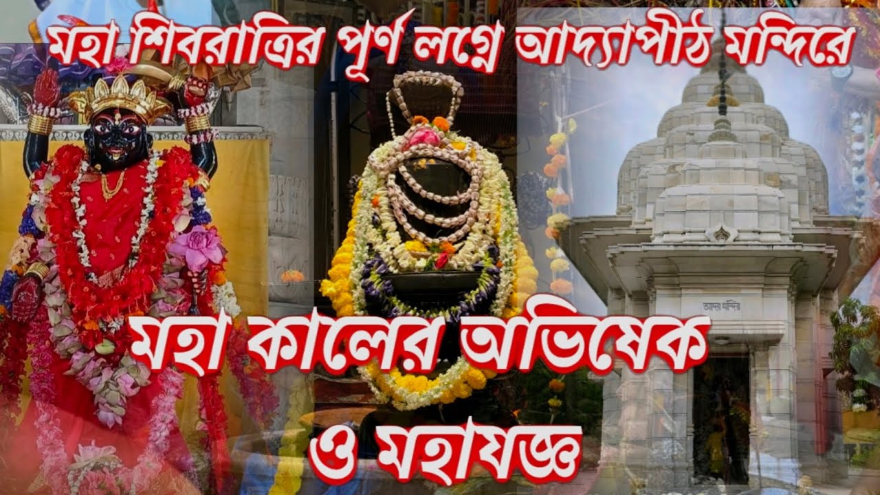 #মহাশিবরাত্রি পূর্ণলগ্নে আদ্যাপীঠকালী মন্দিরের মহাকালের  মহাঅভিষেক ও মহাযজ্ঞের কিছু বিশেষ মুহূর্ত 