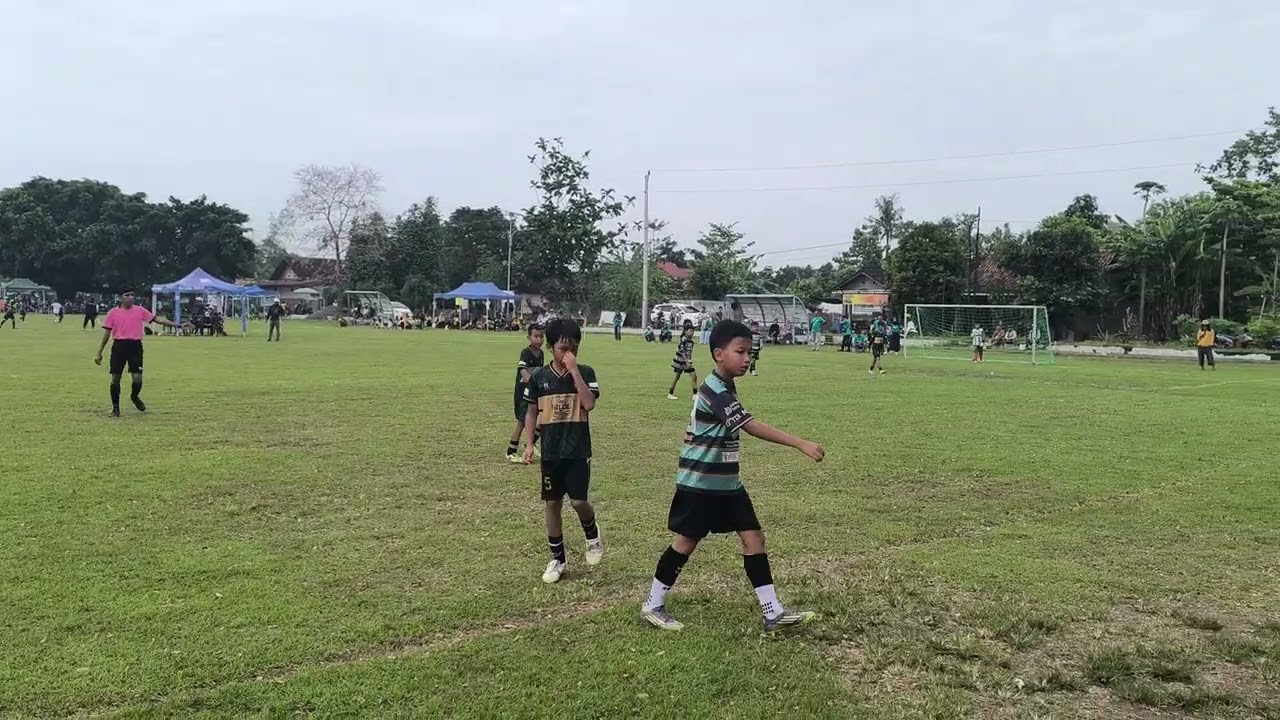 Vs ams syegan