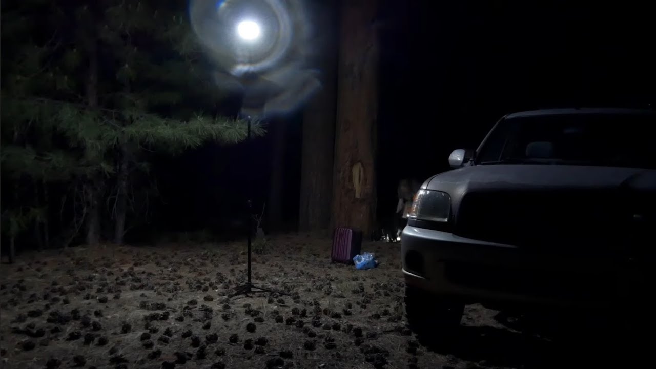 Late Night Camping - Forest Road 142