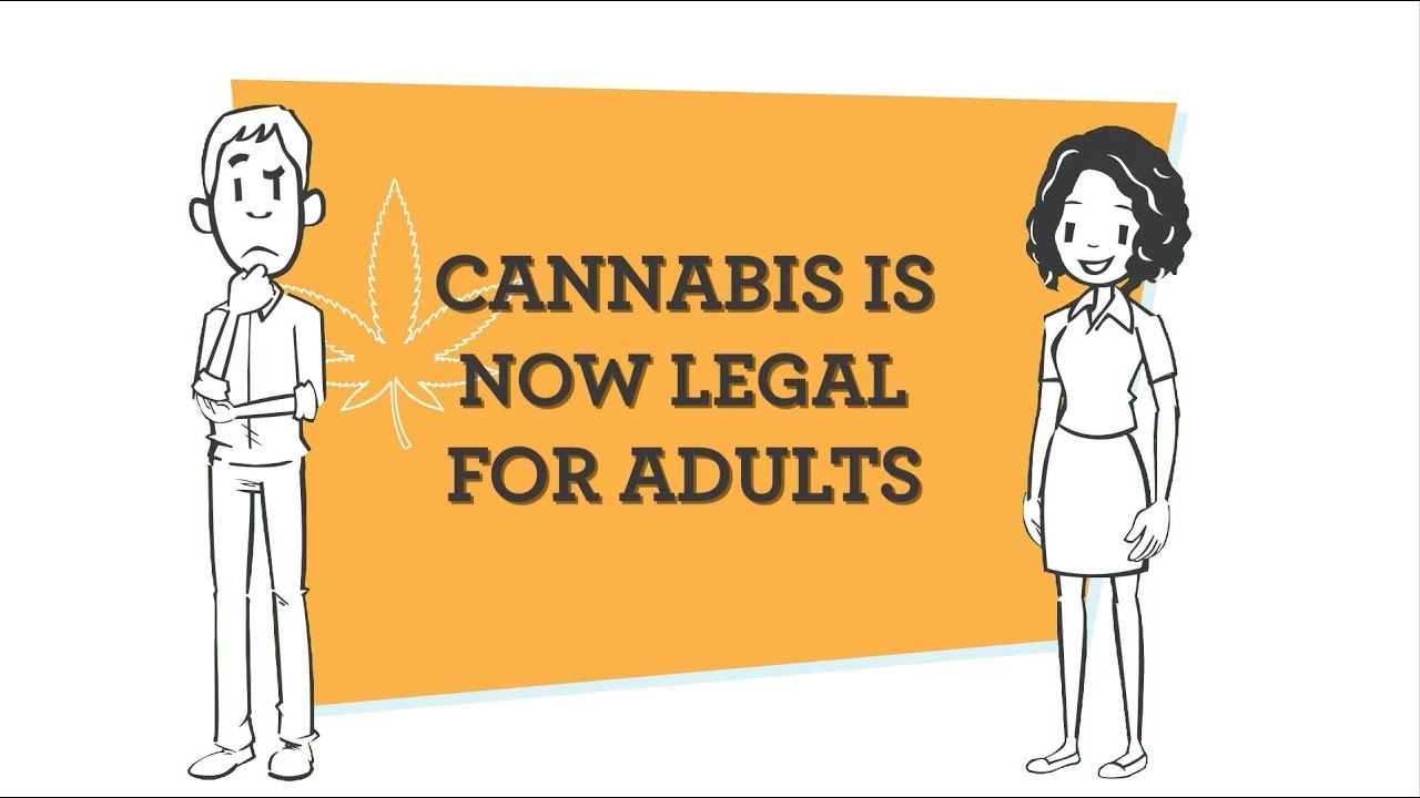 Canada&rsquo;s New Cannabis Act - Described video