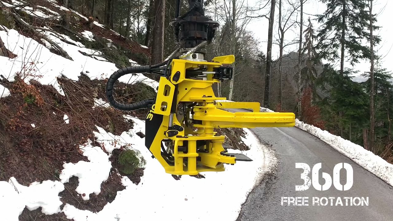 Moipu 310 EFI (electric free installation) demonstration from Switzerland