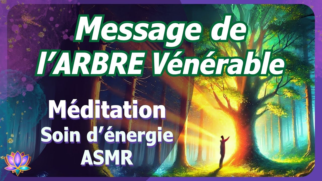 20 MIN 🌀 Un Message de l'arbre vénérable 💫 Méditation Guidée ღ Hypnose 🎧 Soin d'énergie 🎵 ASMR