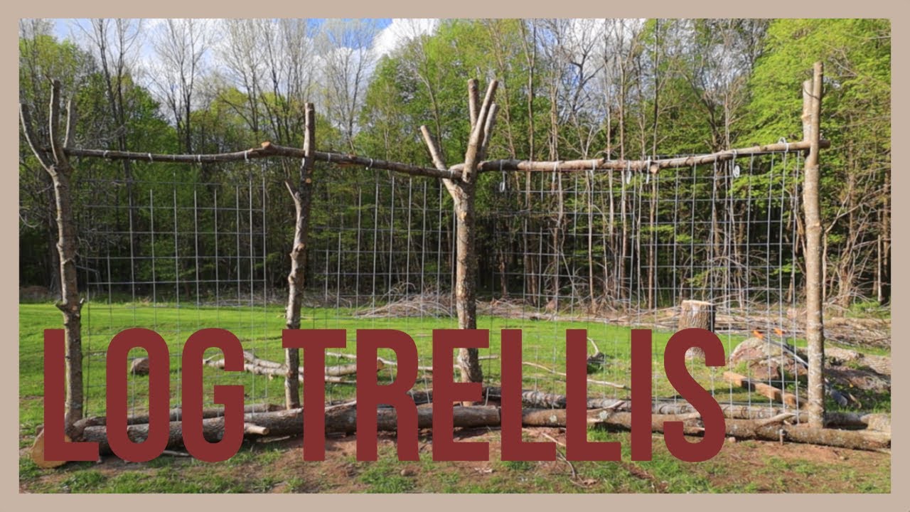 Completing the Log Trellis
