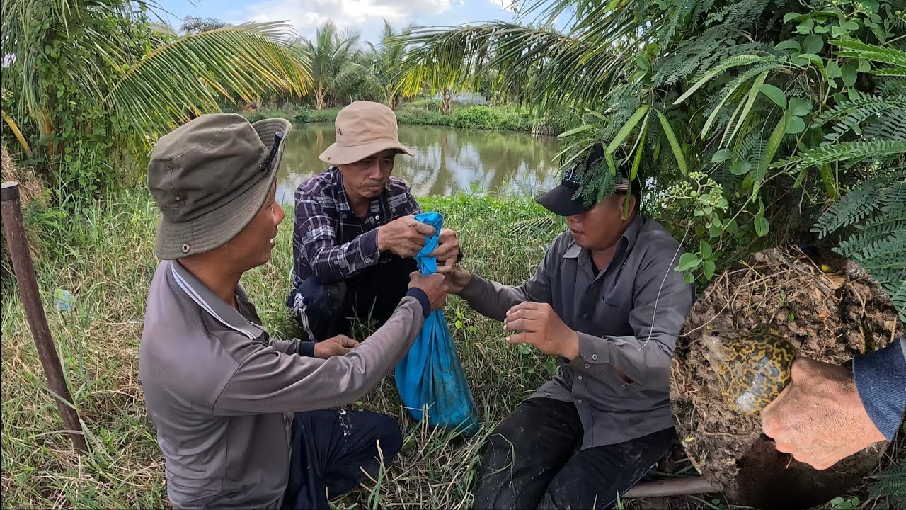 Trúng Rắn|| Giang Ca SB # 33