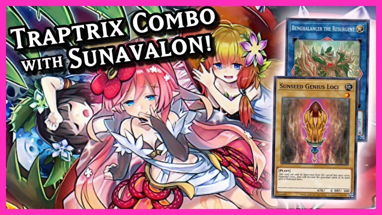 Traptrix... Combo? Sunavalon Traptrix Deck Profile + Combos!