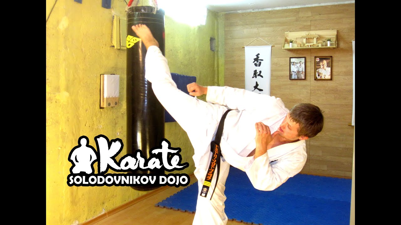 Уширо маваши вертушка удар с разворота / Ushiro mawashi geri / Техника кекусинкай каратэ  таэквондо