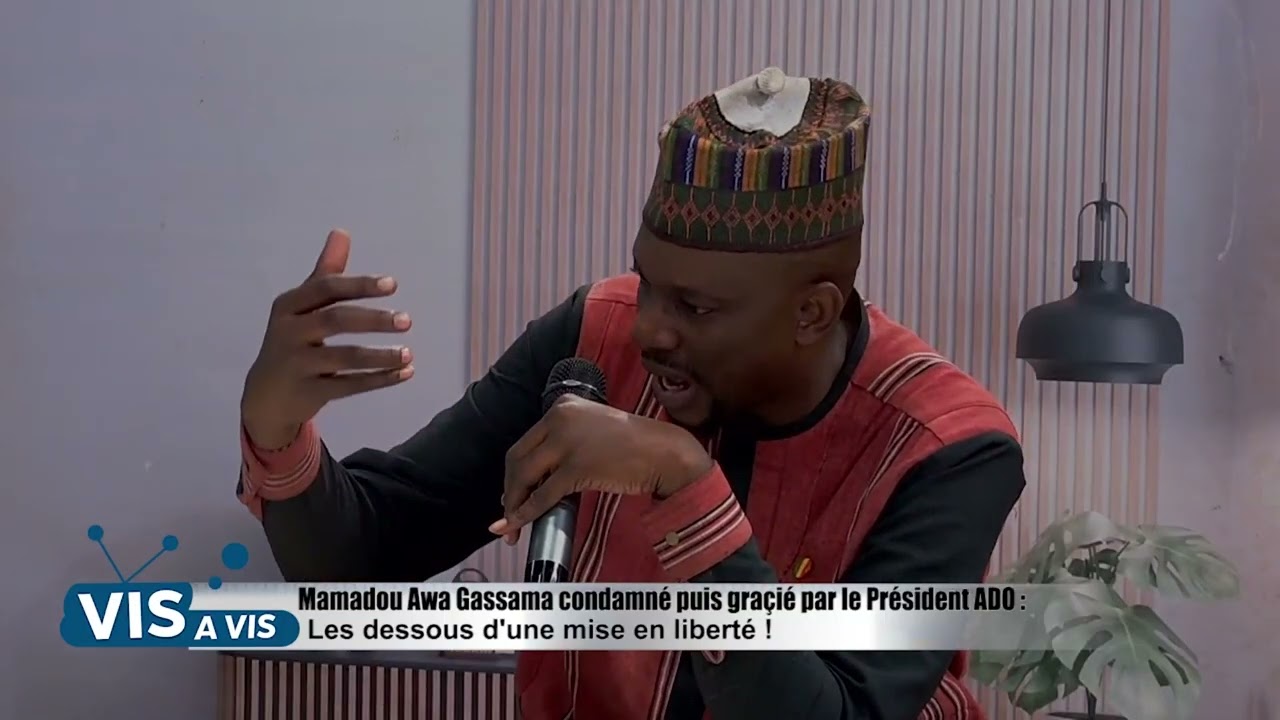VIS A VIS DÉCORTIQUE LES DESSOUS DE LA LIBÉRATION DE MAMADOU HAWA GASSAMA 