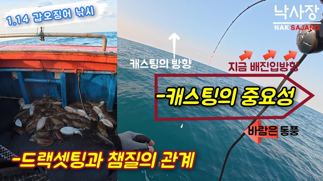제주 심해 갑오징어 낚시 - 끊이질 않는 입질, 이유는 ??