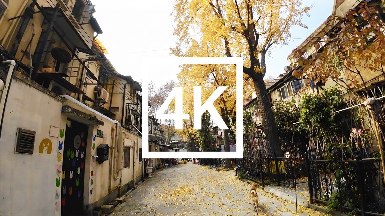 Shanghai Walk Former French Concession Area - Yellow Leaves [4K HDR]