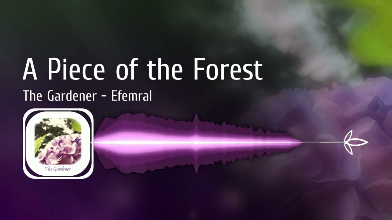 A Piece of the Forest
