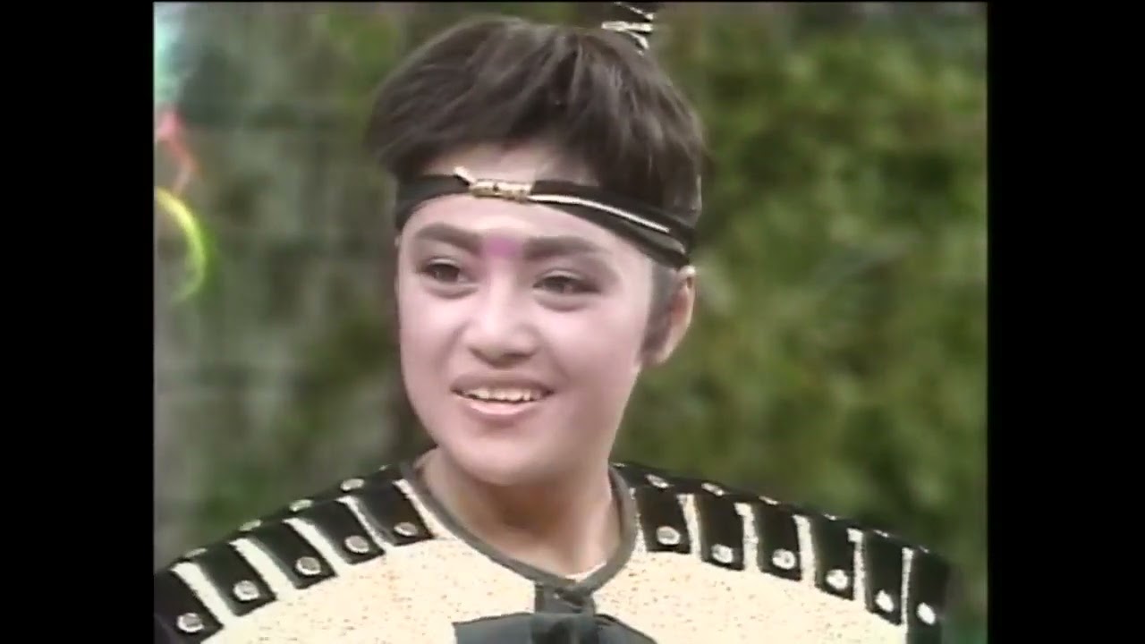 楊麗花歌仔戲《薛丁山與樊梨花》13 14