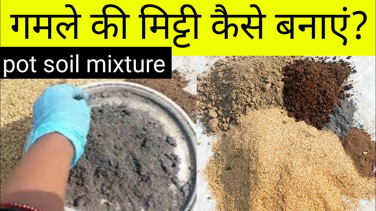 किचन गार्डनिंग के लिए अच्छी मिट्टी कैसे तैयार करें/Healthy soil mixture ideas for kitchen gardening