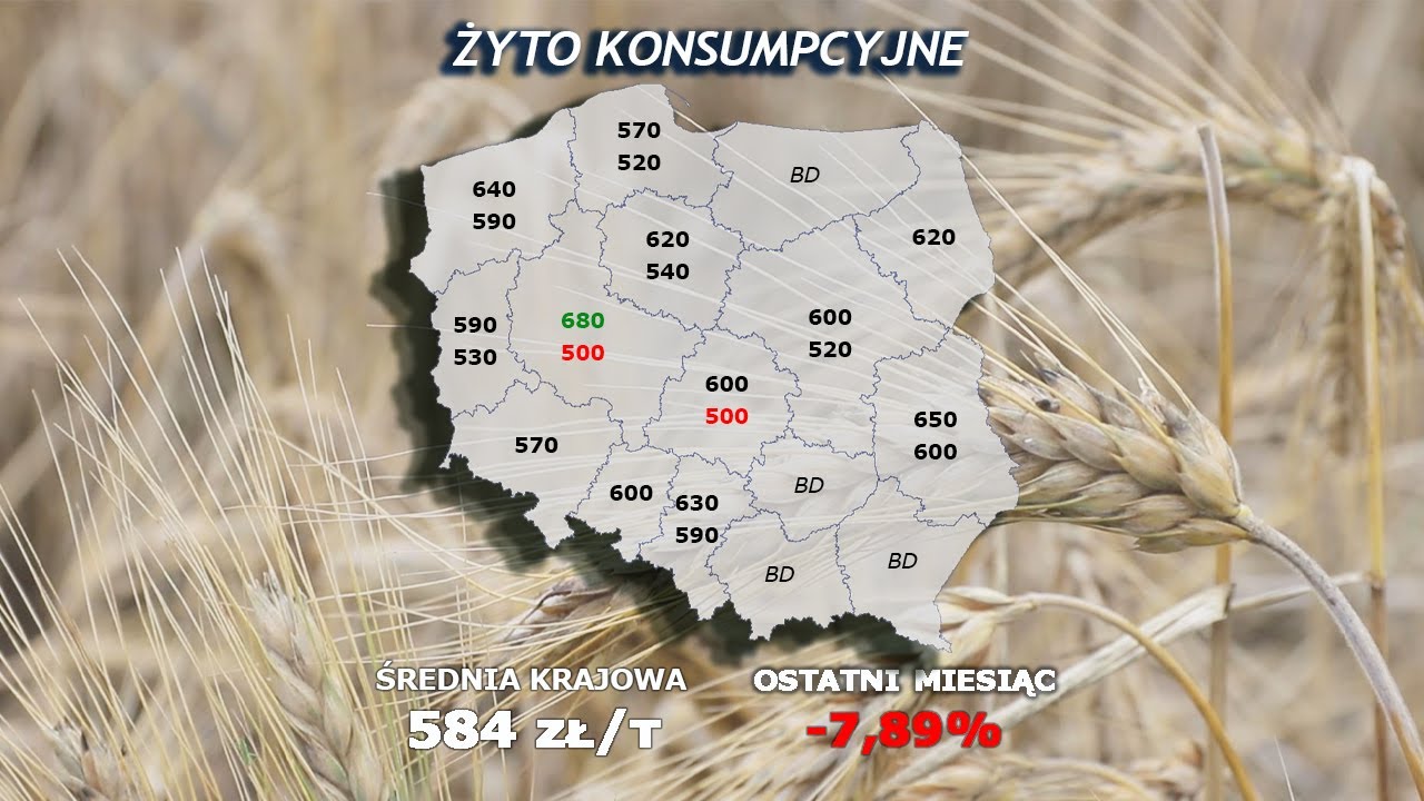 #303 agro wiadomości nonstop - 02.09.2025