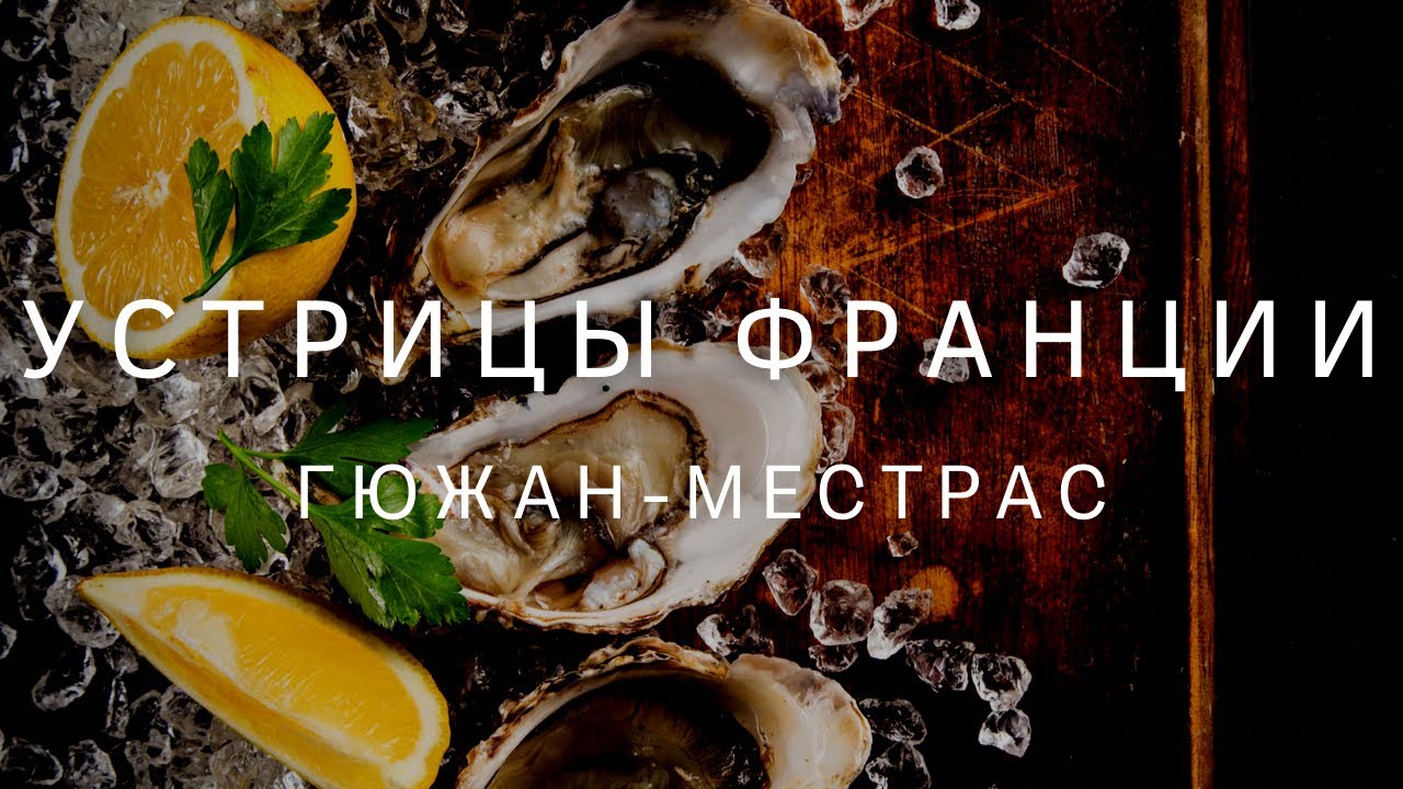 Устрицы Франции. Гюжан-Местрас - столица устричных ферм. Путешествуя в Бордо. Как добывают устрицы