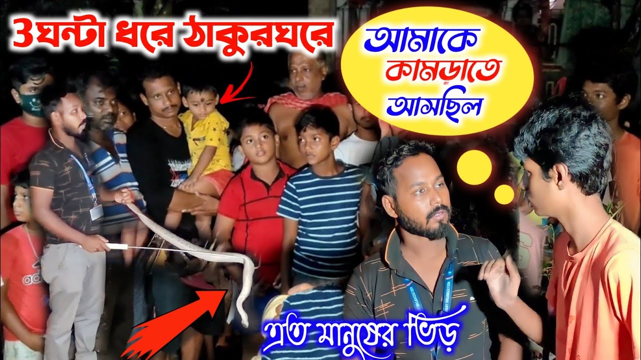 3 ঘন্টা ধরে ঠাকুরঘরে❗আবারো কামড়, ভয়ানক রেসকিউ করলাম | Samiran Barik Rescuer |