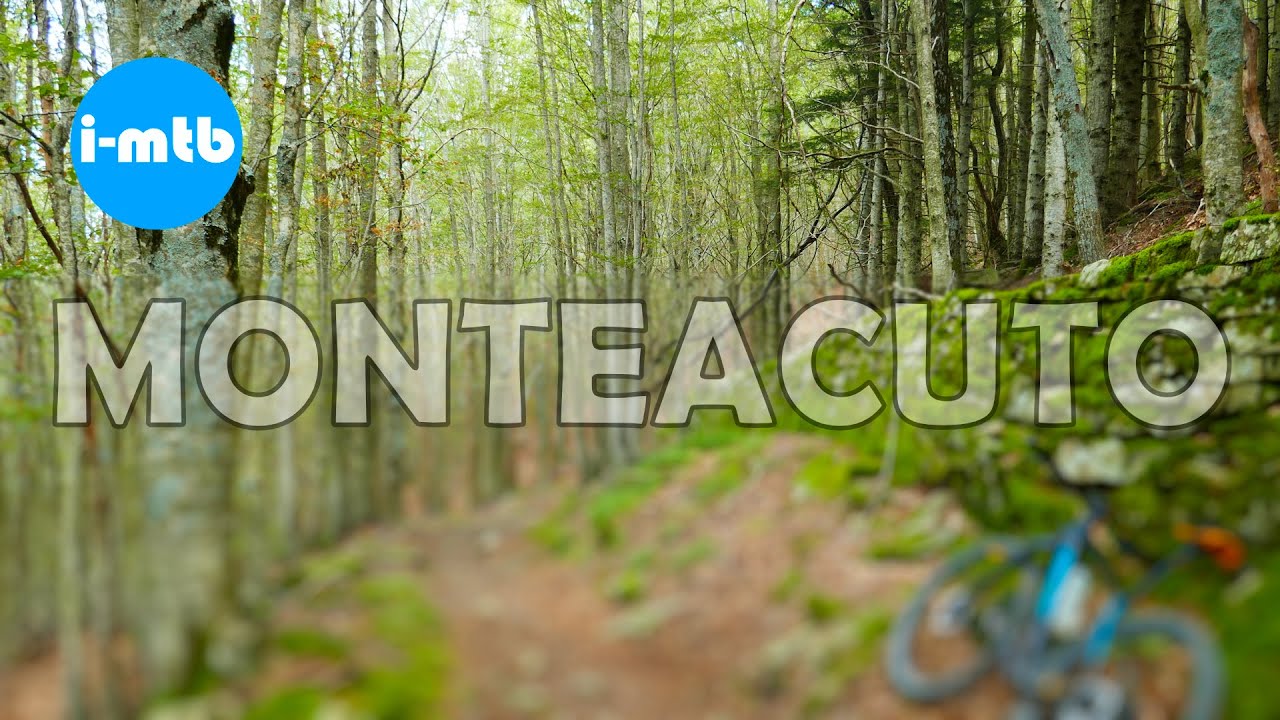 Appennino Tosco-emiliano - The long descent to Monteacuto in Alpi