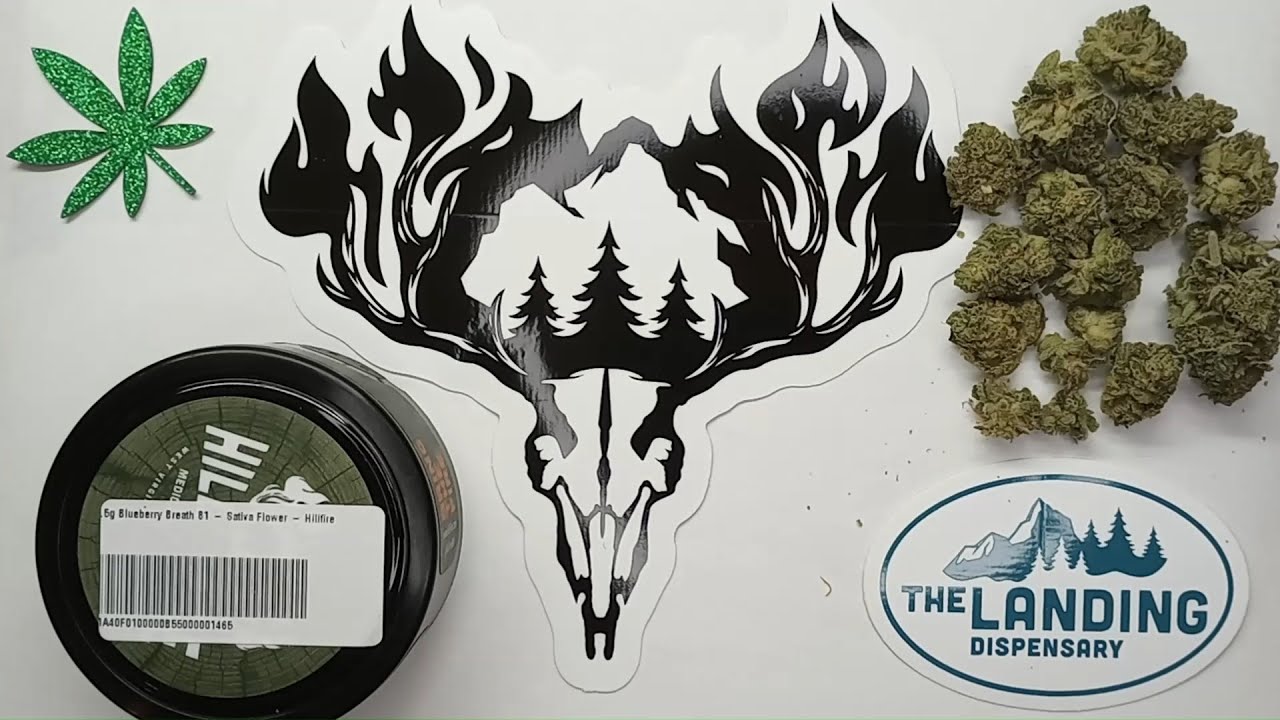 Hillfire Blueberry Breath 81 Flower Review