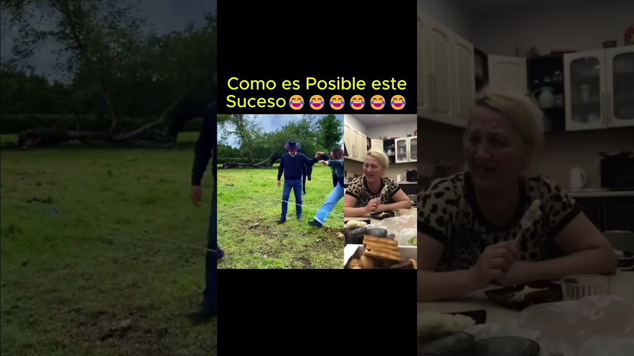 Lo más divertido que verás hoy 😂  