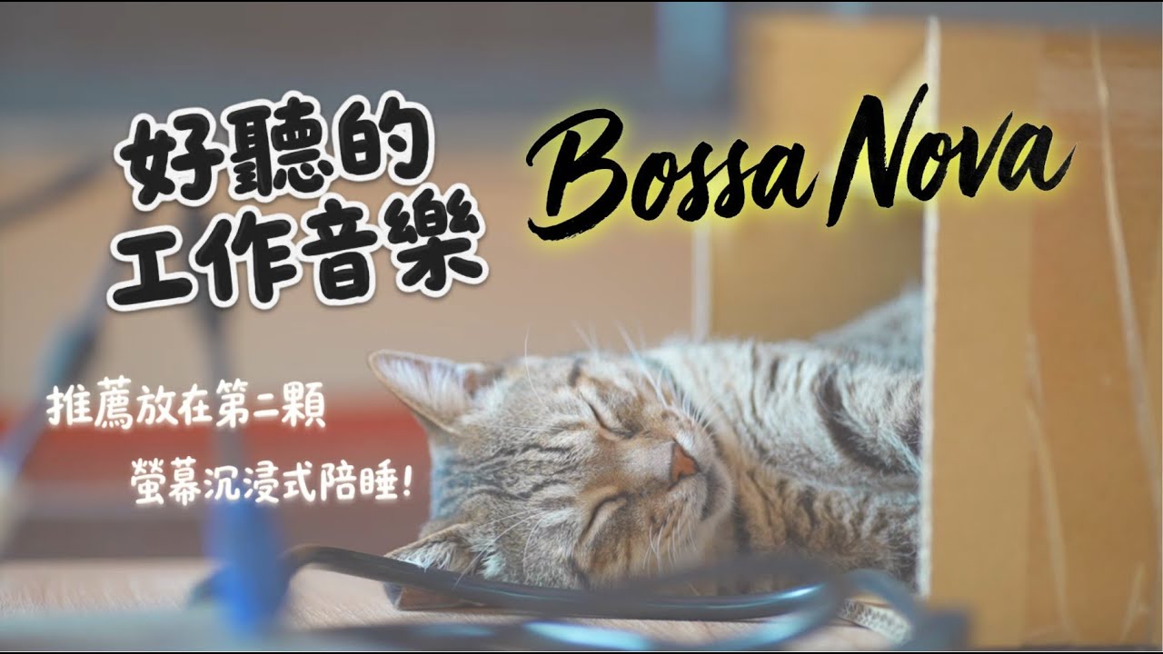 好聽日文歌 | Bossa Nova | 紙箱這麼好睡嗎？ | 讀書，工作，放鬆適用背景音樂 | 貓奴社畜專用療癒影片 EP6