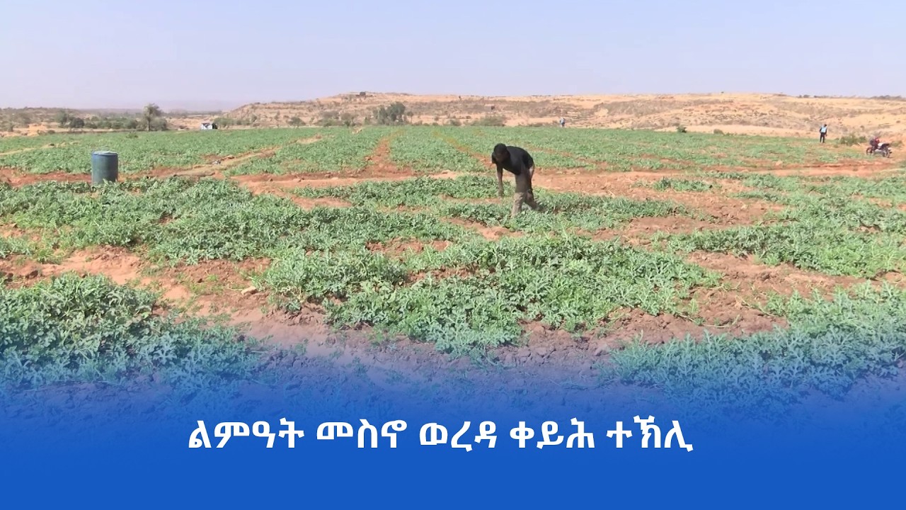 ‎ ብርጭቕ ብምፍራይና መነባብሮና ነመሓይሽ ኣለና :- መናእሰይ ወረዳ ቀይሕ ተኽሊ