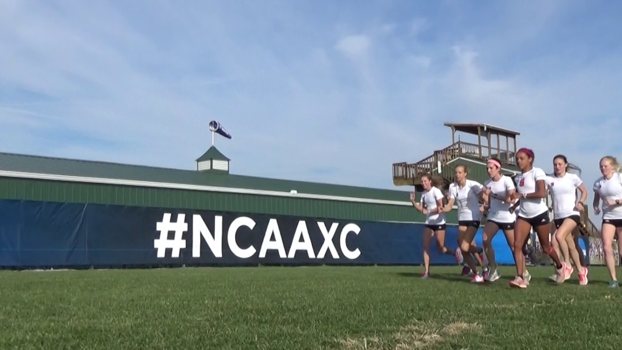 2016 NC State Cross Country Highlight Video