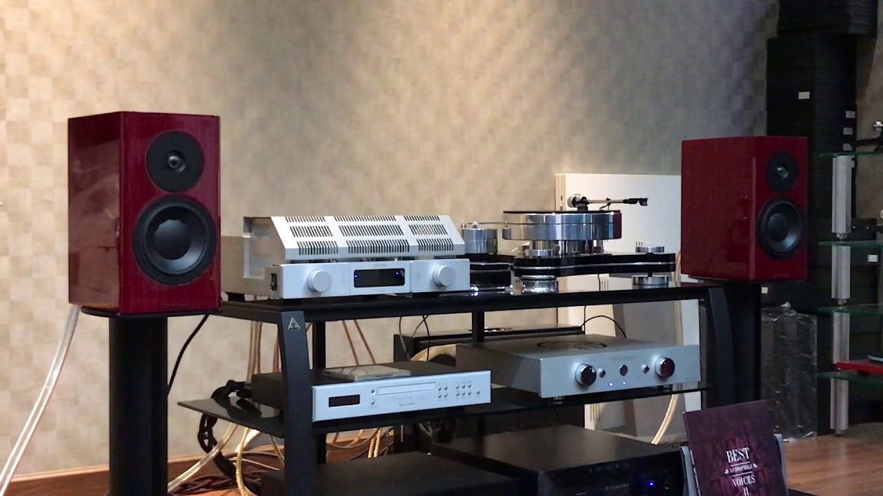 Dynaudio SPECIAL FORTY TEST The Sheffield Track  Drum Improvisation
