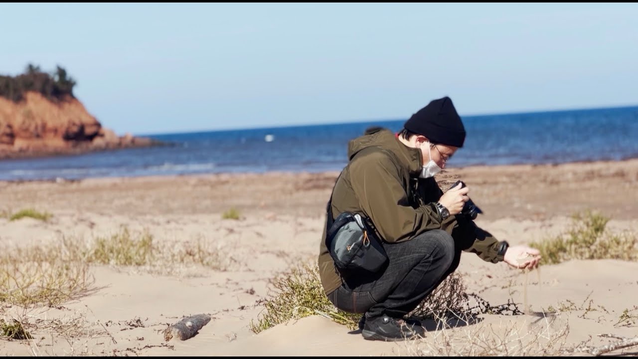 Makoto Yukimura's Journey to Vinland (Prince Edward Island)