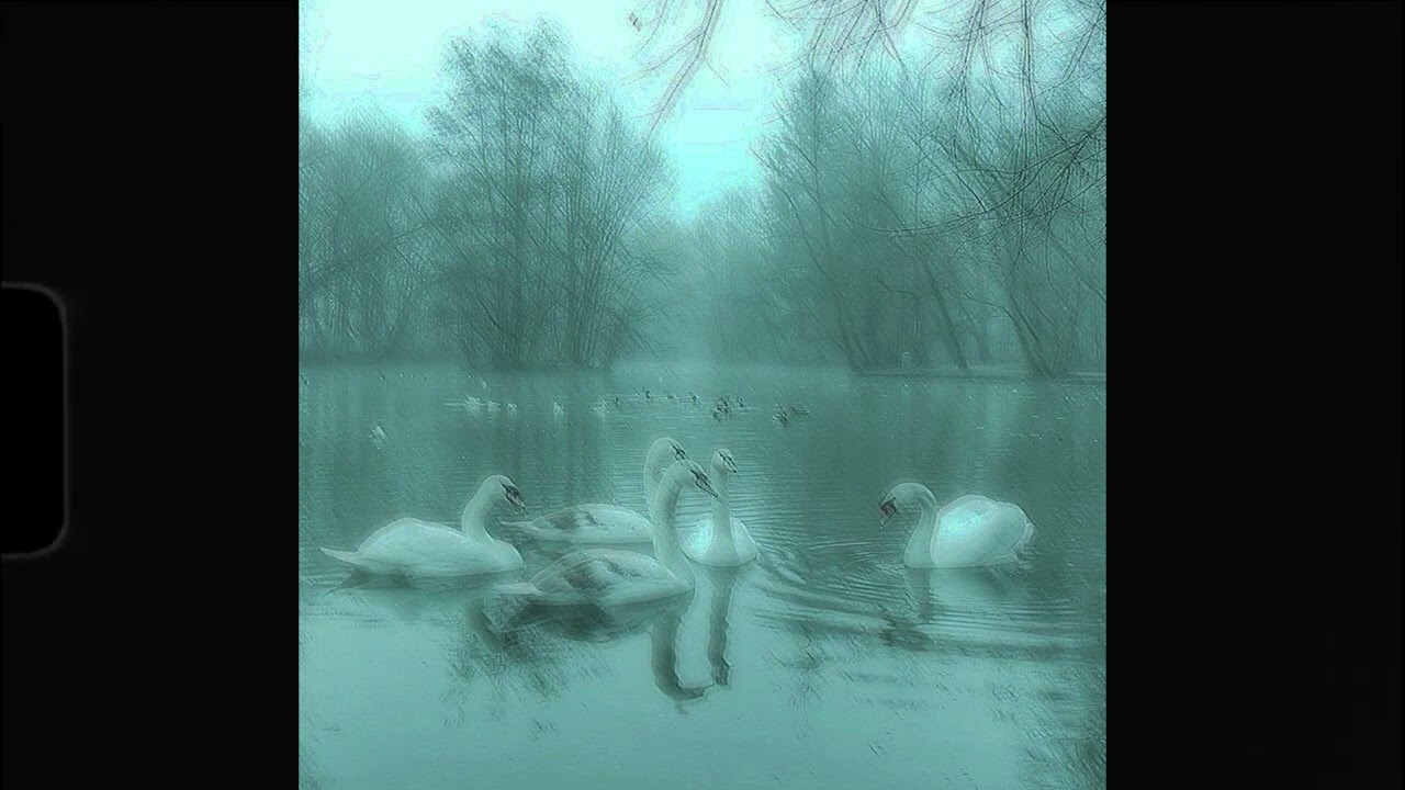 [FREE] *no drums* sad indie guitar | interlude type beat "swan" - @m4ndume