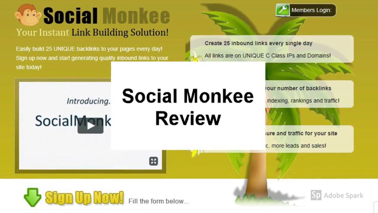 Social Monkee Review | Is Social Monkee Good?