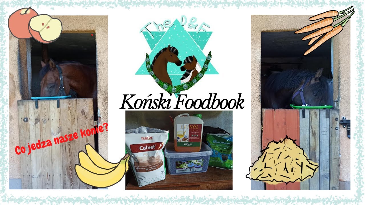 Koński Foodbook | Czyli co jedzą nasze konie?