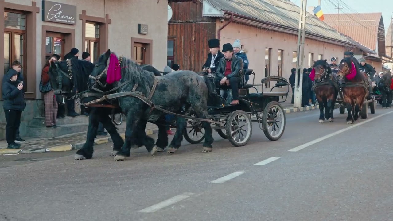 Parada Cailor de la Moldovița - 25 Decembrie 2025