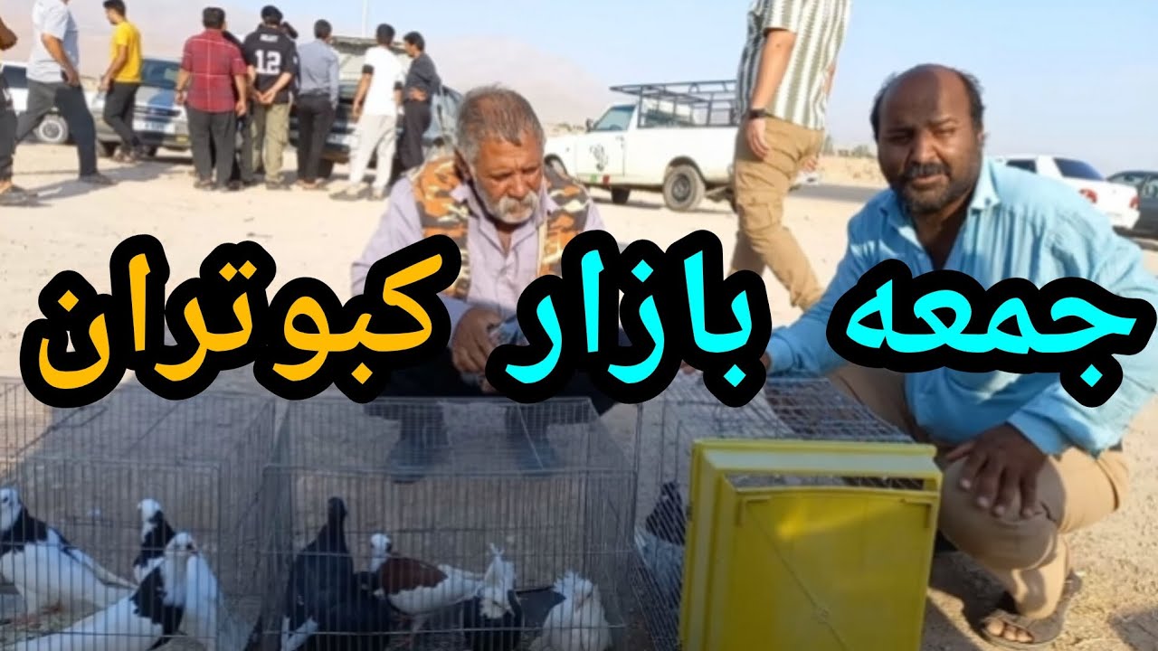 رفتم جمعه بازار واسه فروش کبوترام